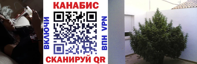 Шишки марихуана Ganja  где можно купить наркотик  Апатиты 